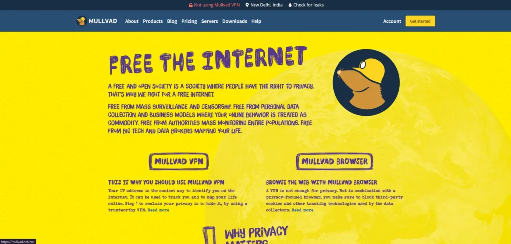 Mullvad VPN-Free VPN for Disney+