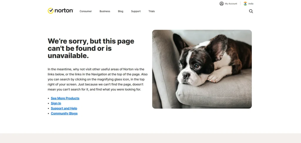 Norton Password Manager-Password Managers
