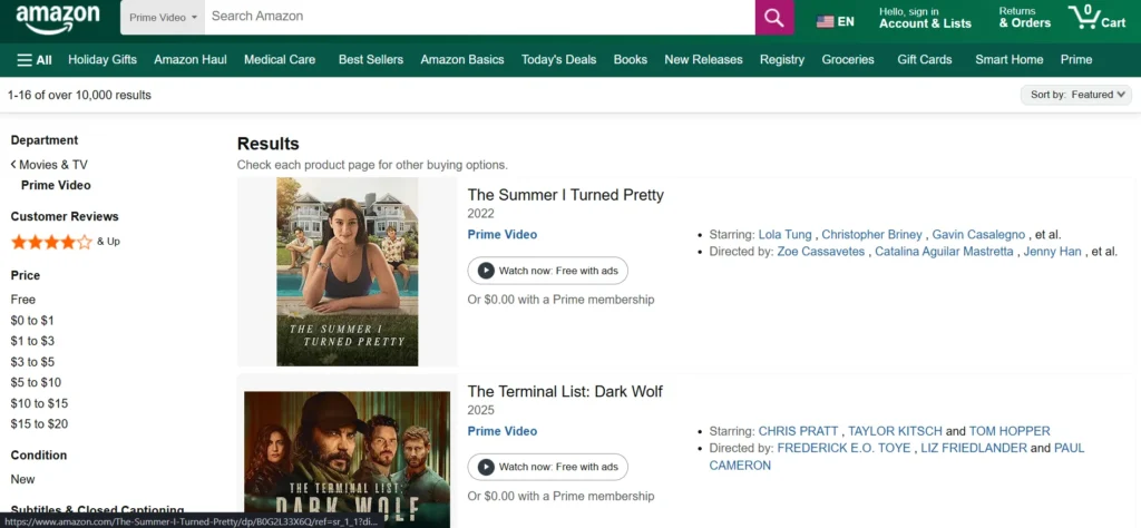  - Netflix Alternative